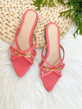 RASTEIRA DETALHE FIVELA